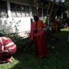 ඩෙංගු මර්ධන වැඩසටහන් - ඩෙංගු මර්ධන වැඩසටහන්
